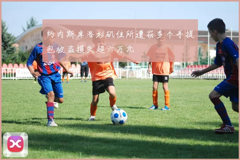 约内斯库洛杉矶住所遭窃多个手提包被盗损失超六万元