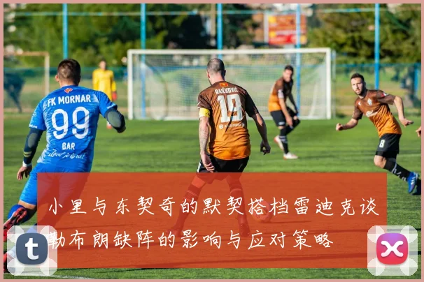 小里与东契奇的默契搭档雷迪克谈勒布朗缺阵的影响与应对策略