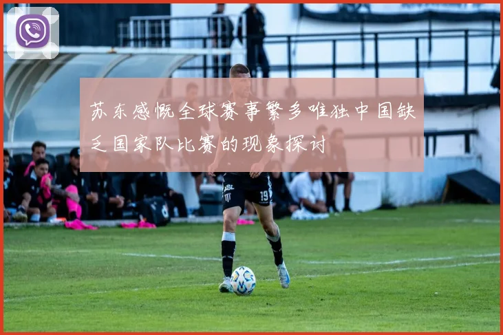 苏东感慨全球赛事繁多唯独中国缺乏国家队比赛的现象探讨