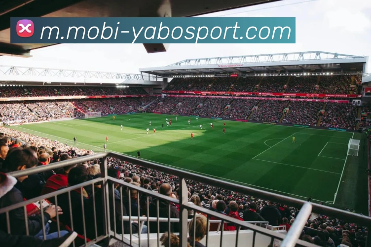 亚博体育服务体系